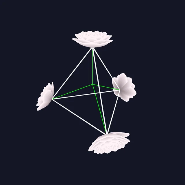 Tetrahedron with Oriented Camellias